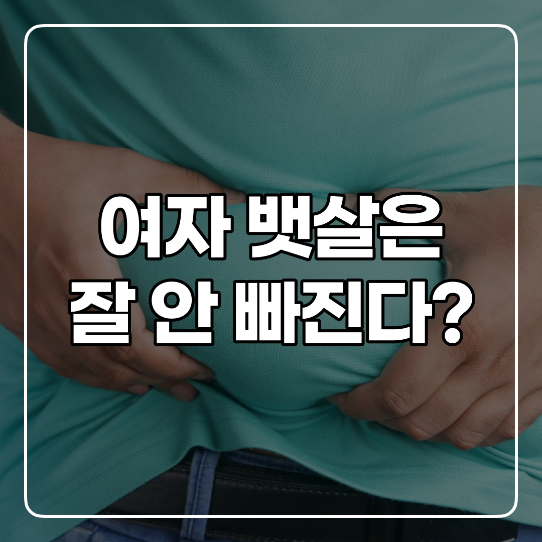  여자 뱃살 빼기가 더 힘들다고? 뱃살 다이어트 방법!