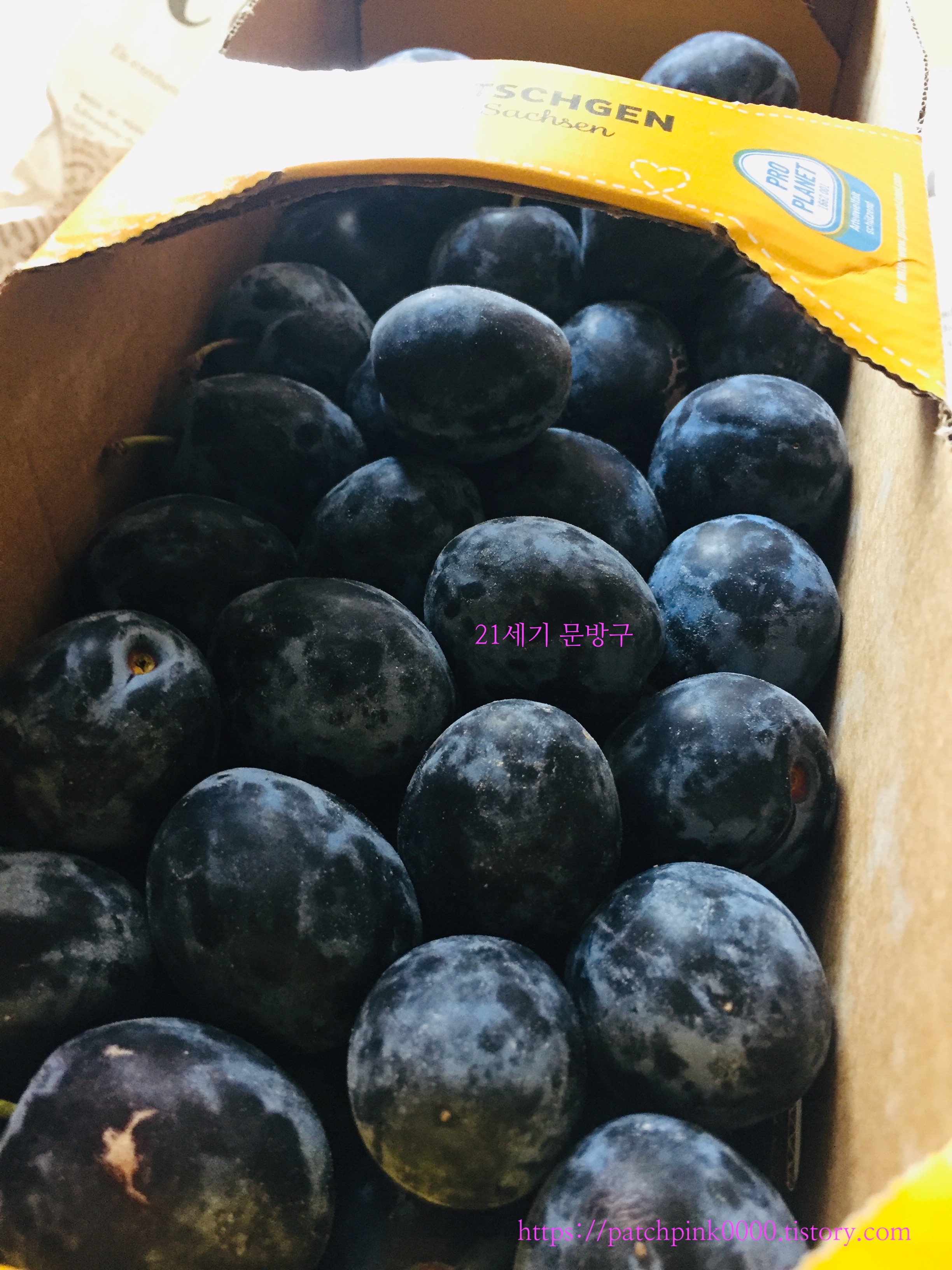  <독일문방구> 자두의 맛!