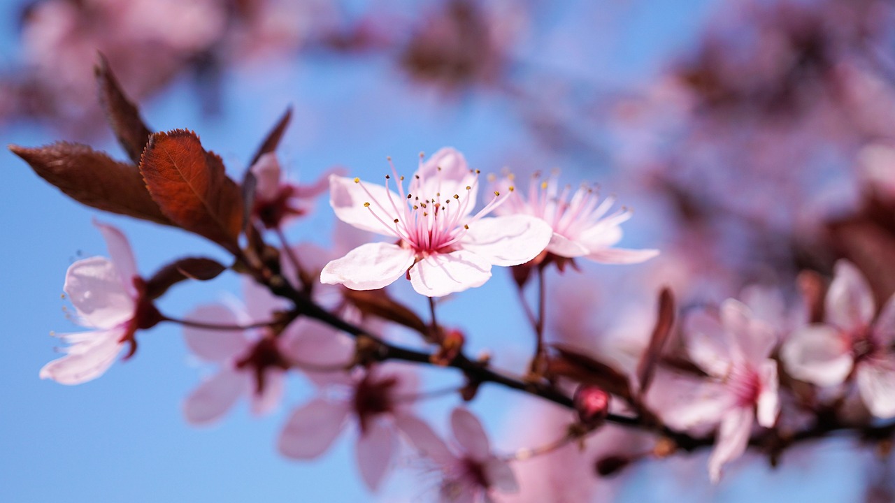 의왕 백운호수 드라이브 코스 산책