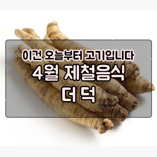  4월 제철음식 더덕을 소개합니다 