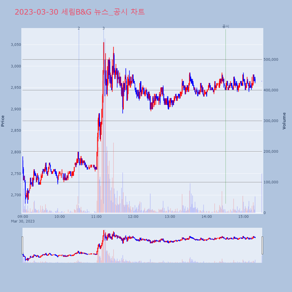 세림B&G_뉴스공시차트