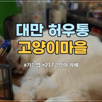  대만 허우통 고양이 마을 방문 - 217 카페