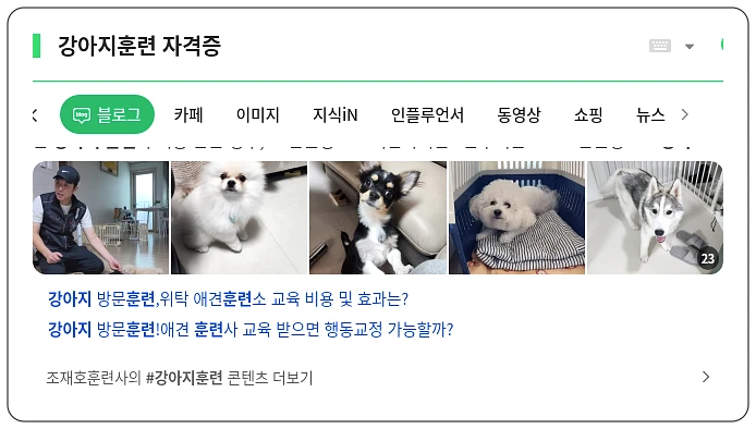 강아지훈련 자격증_1_subsection
