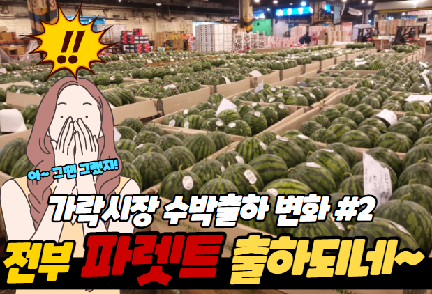  파렛트 출하 안하면 수박 못 들어와요!!!