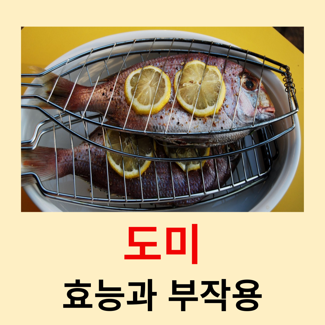 도미-효능과-부작용