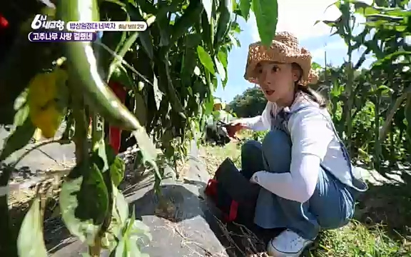 220815_발길따라 고향 기행.ts_20220823_181517.799.jpg