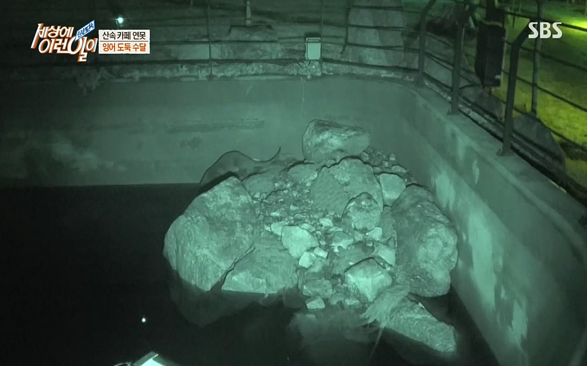 순간포착 세상에 이런일이.E1175.220413p-NEXT.mp4_20220413_175832.102.jpg