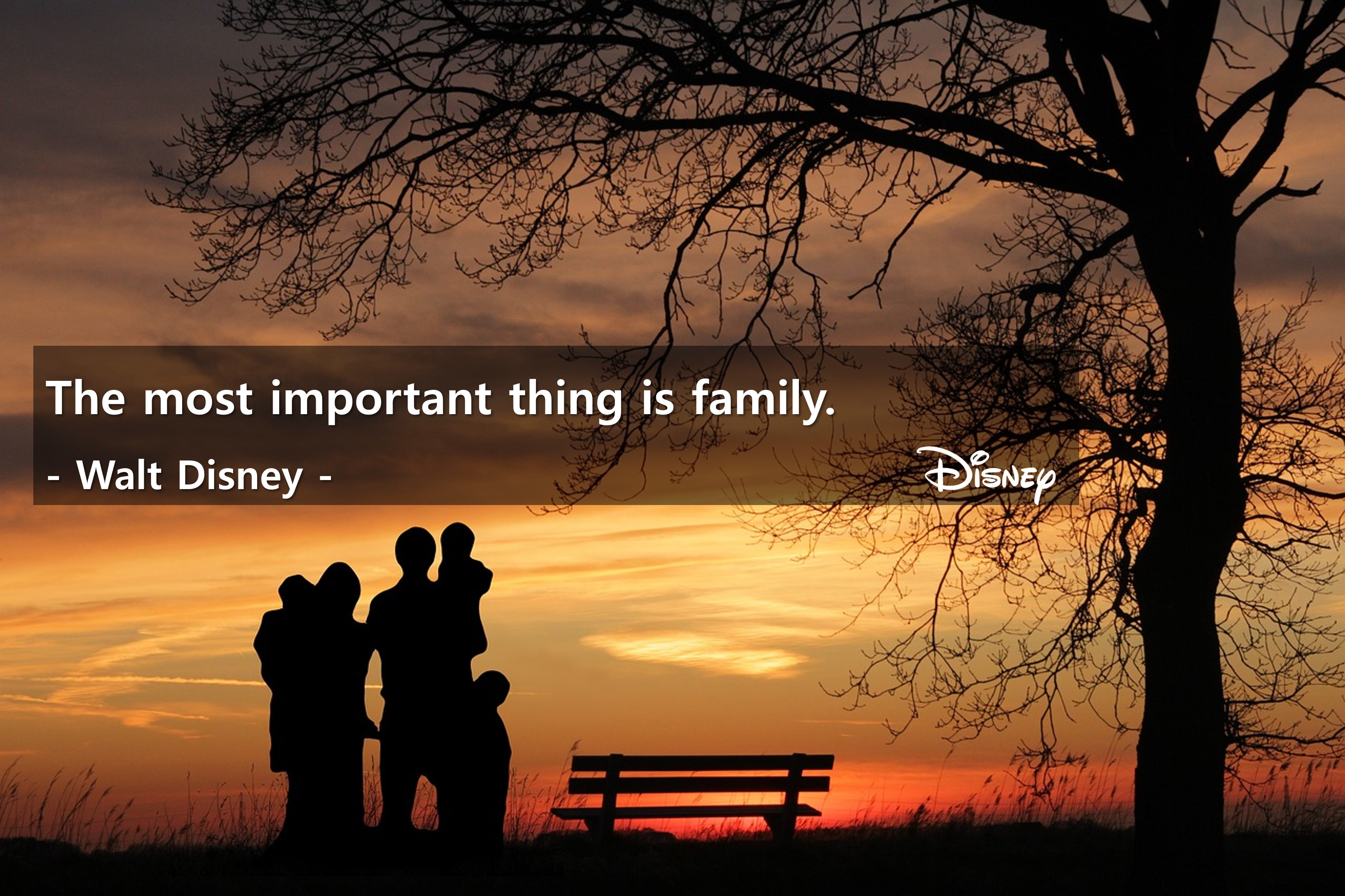 The most important thing is family.
- Walt Disney -