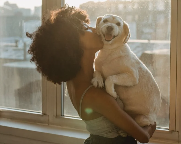 다양한 상황의 강아지 꿈 해몽, 꿈 해석