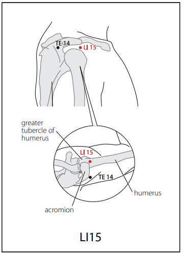 수양명대장경 (LI) > LI15 견우 (肩髃) 1