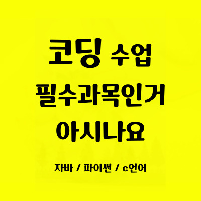  동명동 일대일 코딩학원 영랑동 초등중등 코딩과외 초등학생 중학생 자바스크립트 어린이 코딩 파이썬 사고력 기르기