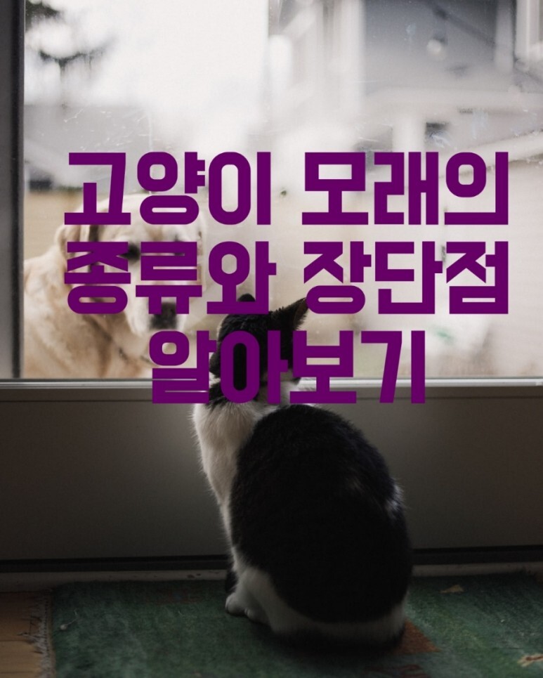고양이 모래의 종류와 장단점 알아보기