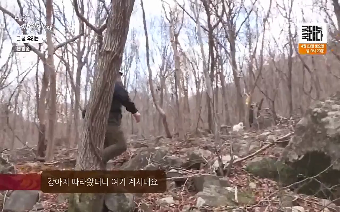 나는 자연인이다.E498.220421p-NEXT.mp4_20220421_184049.445.jpg