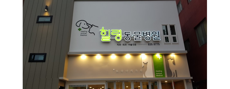 남해군 동물병원