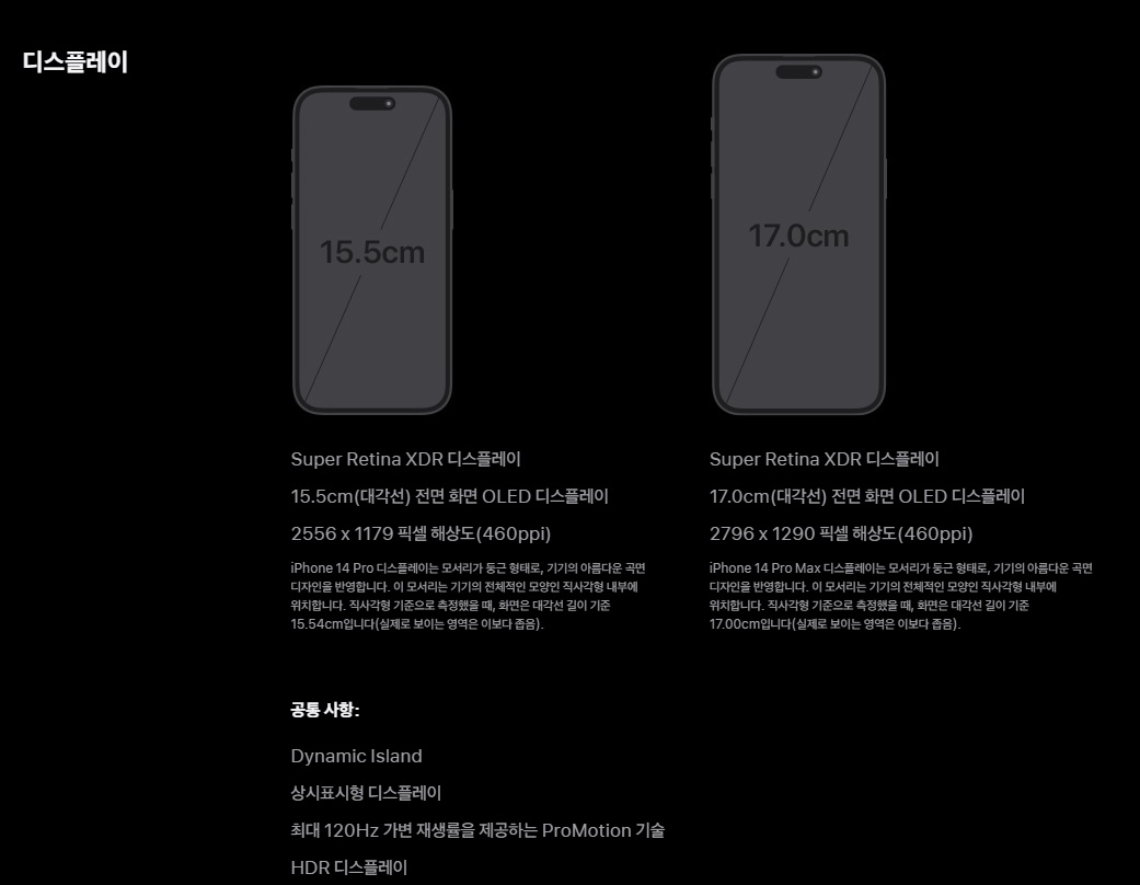 아이폰 14 프로&amp;#44; 프로 맥스 디스플레이 비교