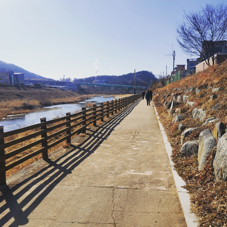 14일 & 보식총정리 8