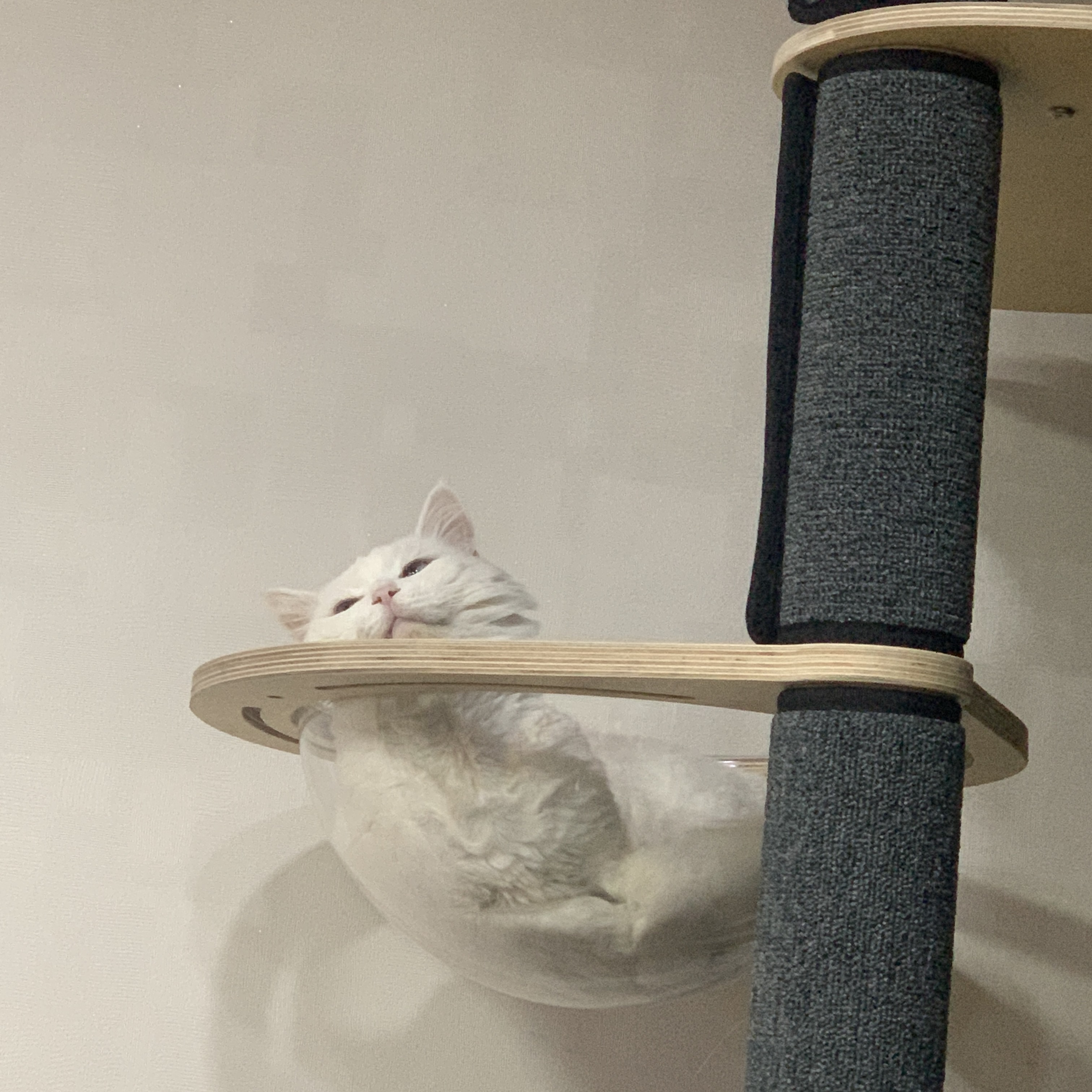  순대야 편한 거 맞지?