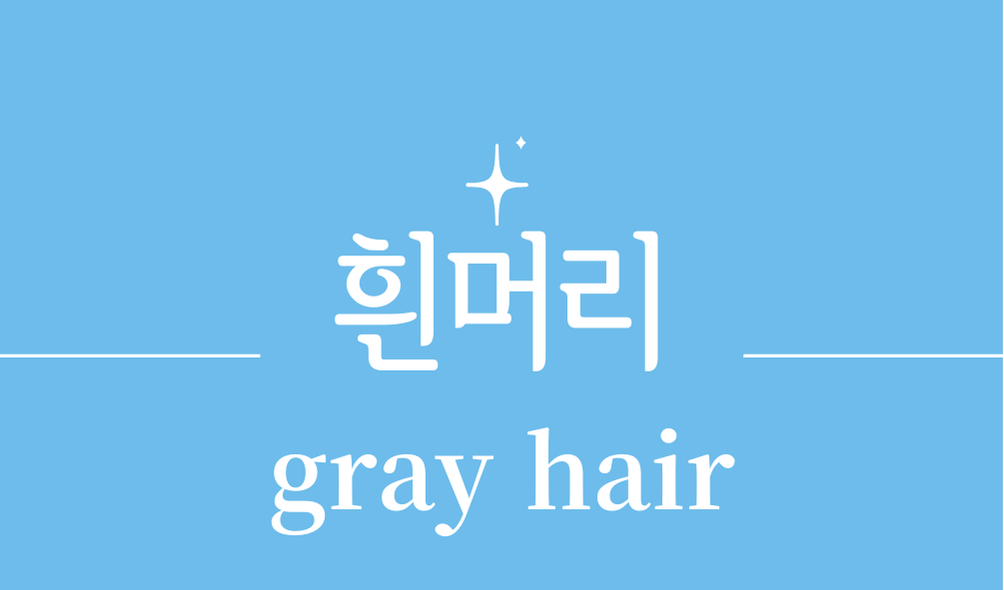 '흰머리(gray hair)'