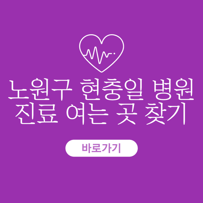 노원구-현충일-병원-진료-여는-곳-찾기