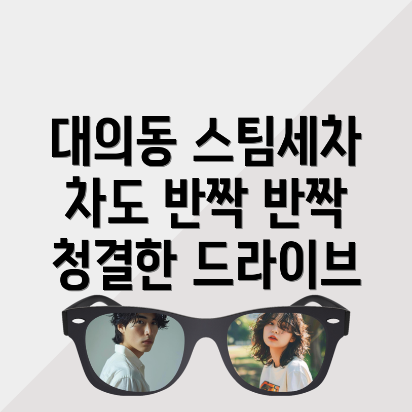 목포 스팀세차