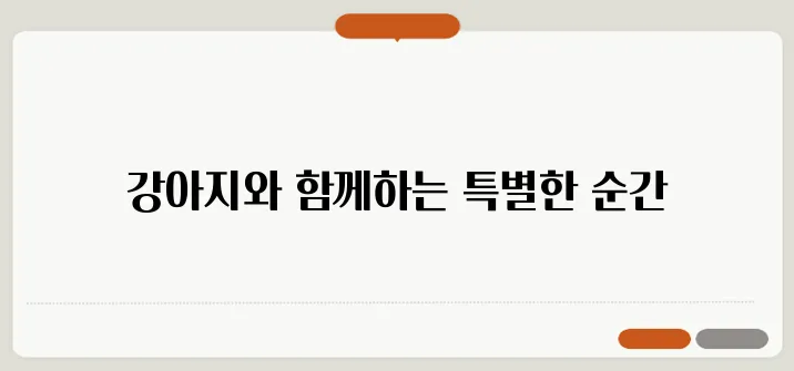올해 겨울, 사랑하는 강아지와 함께하는 특별한 할로윈의 추억을 만들어보세요.