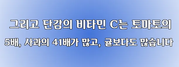  그리고 단감의 비타민 C는 토마토의 5배, 사과의 41배가 많고, 귤보다도 많습니다