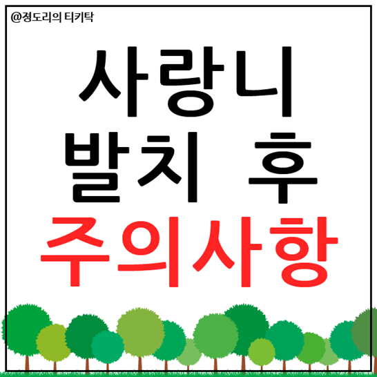  사랑니 발치 후 주의사항 10가지