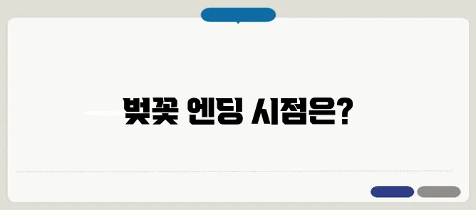 벚꽃 엔딩 언제? 벚꽃이 지는 시기 & 꽃비 명소