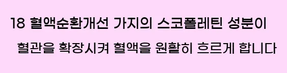  18 혈액순환개선 가지의 스코폴레틴 성분이 혈관을 확장시켜 혈액을 원활히 흐르게 합니다