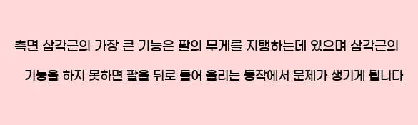   측면 삼각근의 가장 큰 기능은 팔의 무게를 지탱하는데 있으며, 삼각근의 기능을 하지 못하면 팔을 뒤로 들어 올리는 동작에서 문제가 생기게 됩니다.