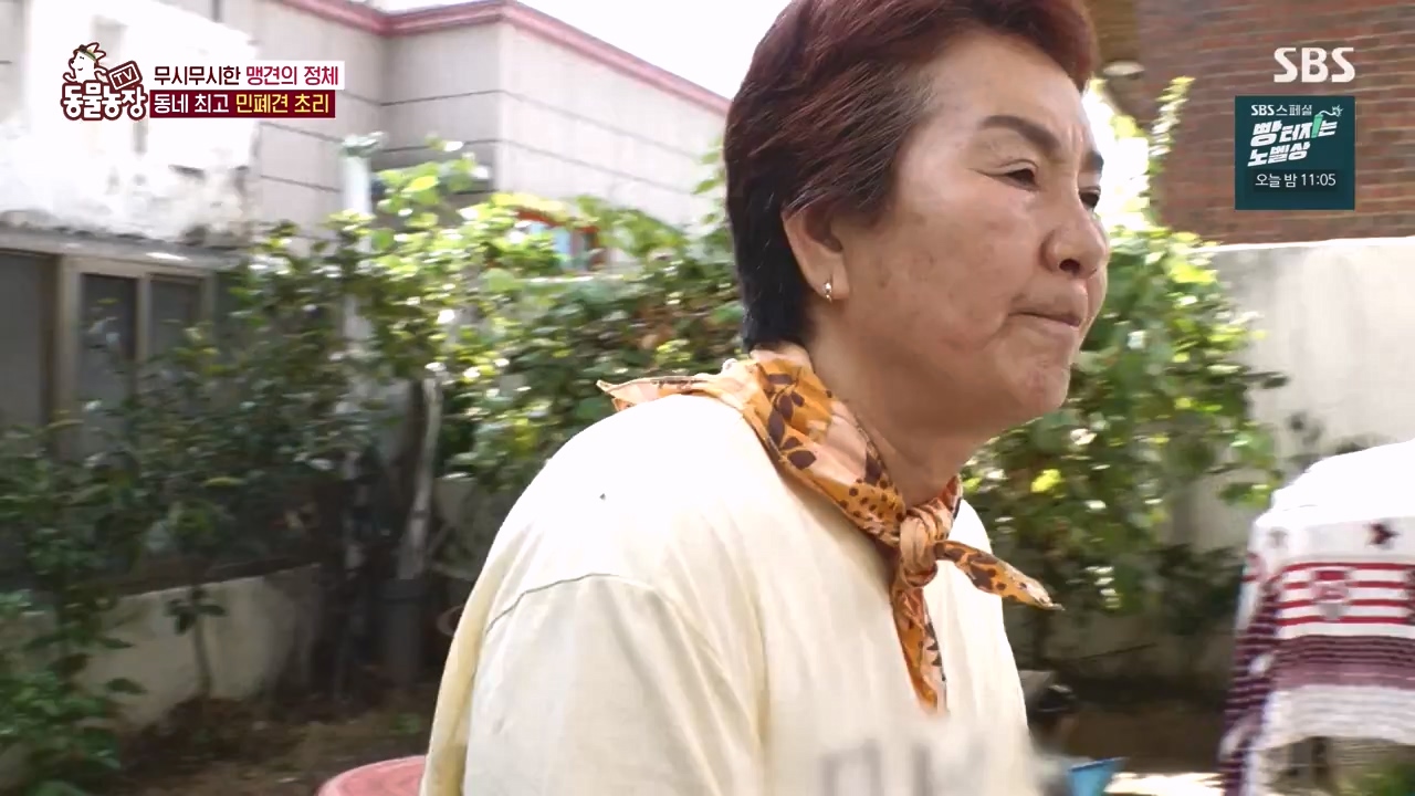 TV 동물농장.E1144.231106p-NEXT.mp4_20231105_175934.114.jpg