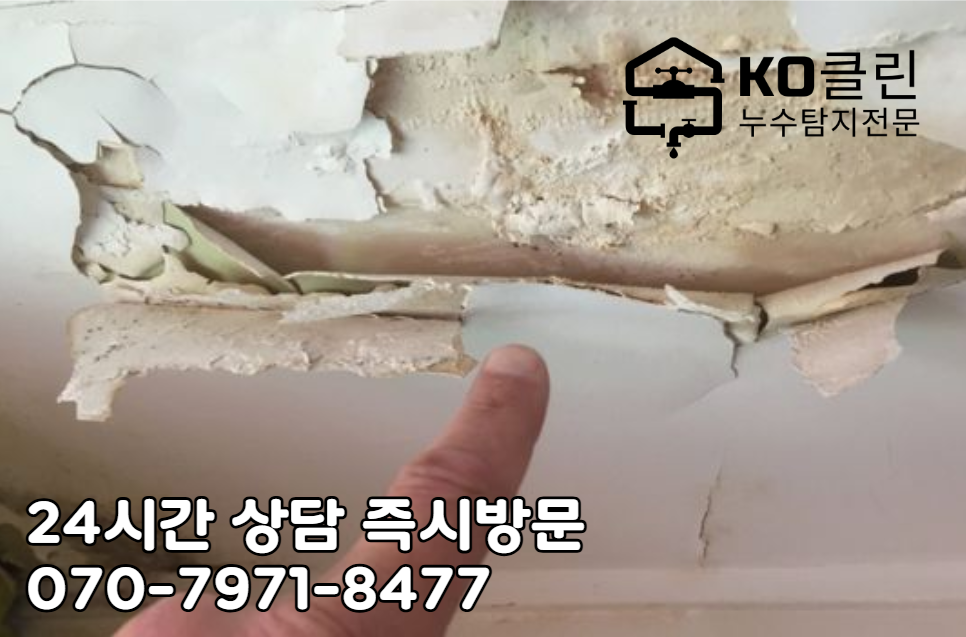 일산 마두시장 누수탐지2