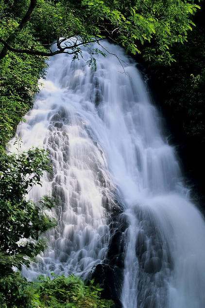 img.jpg