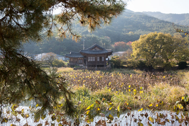 경주 서출지
