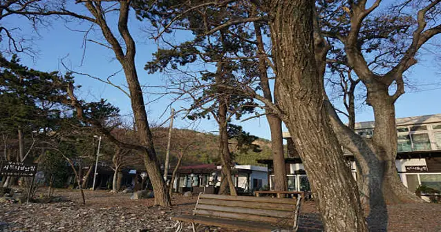 시드니월남쌈