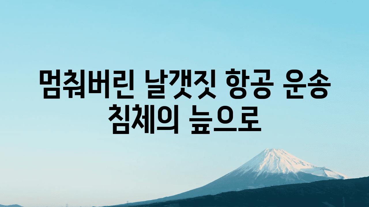 멈춰버린 날갯짓 항공 운송 침체의 늪으로