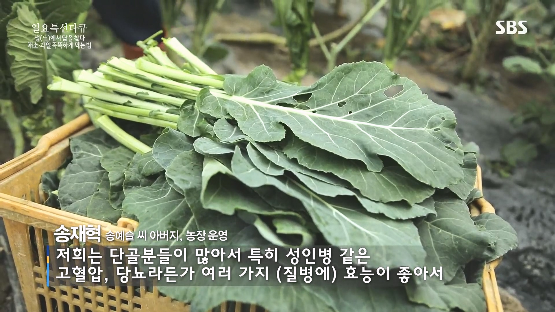 일요 특선 다큐멘터리.E335.240107p.H264-F1RST.mp4_20240108_202738.130.jpg
