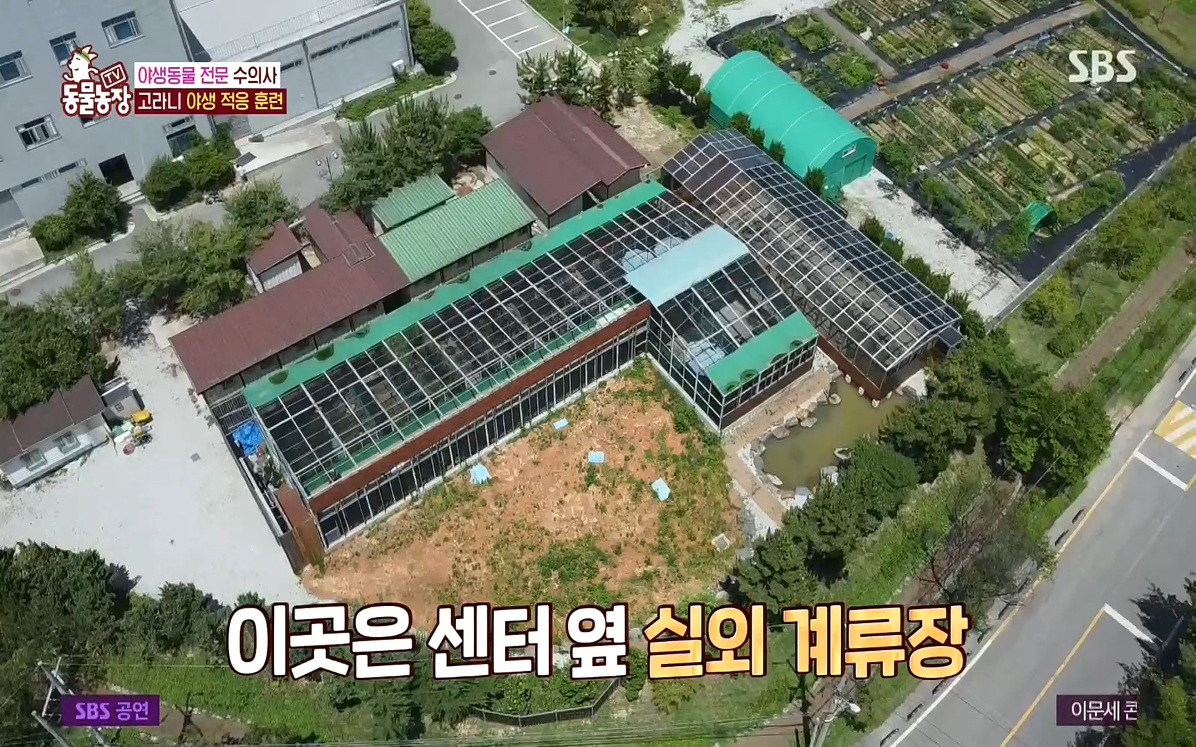TV 동물농장.E1081.220807p.H264-F1RST.mp4_20220807_213632.650.jpg