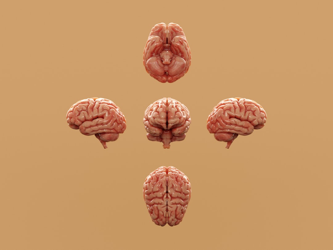 Cognition