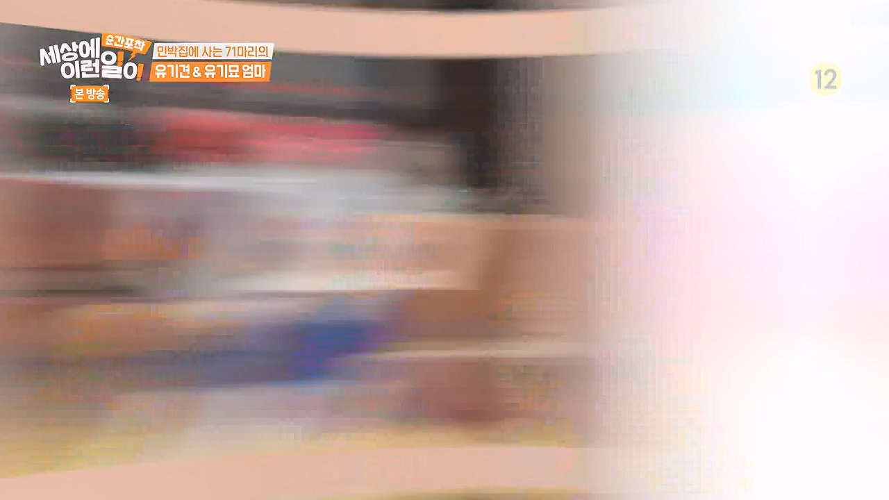 순간포착 세상에 이런일이.E1244.230903p-NEXT.mp4_20230903_173253.265.jpg
