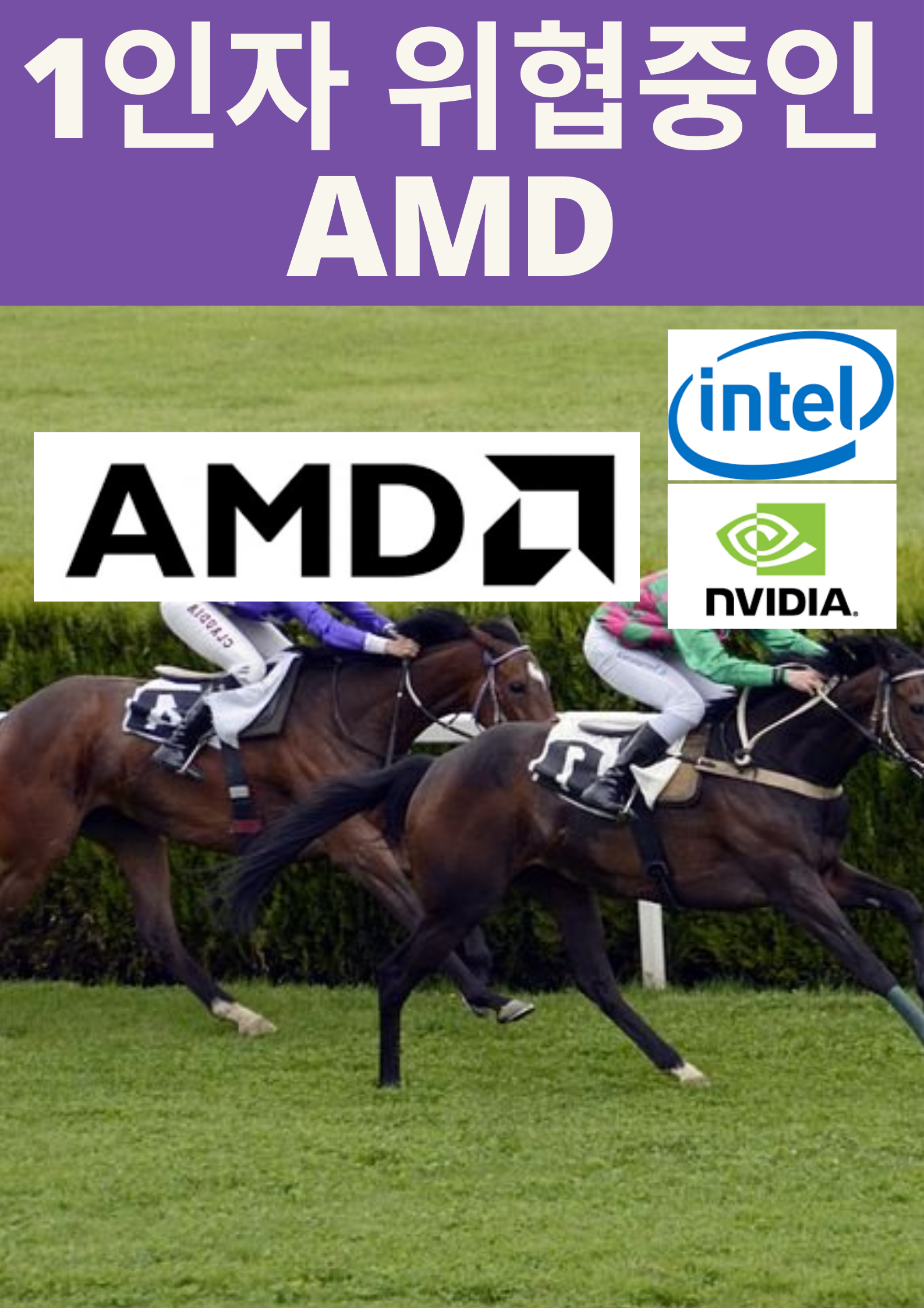 1인자 위협중인 AMD