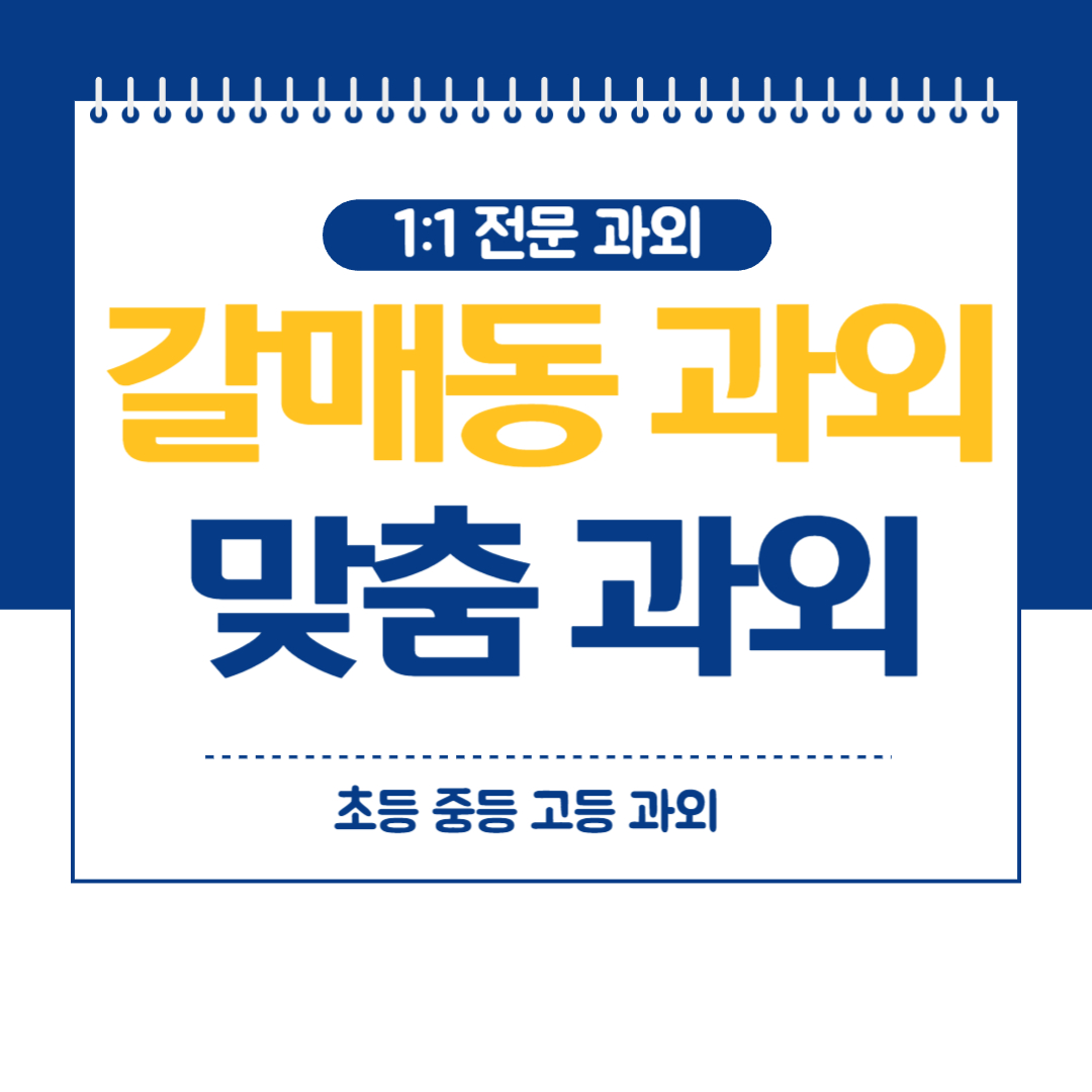  갈매동 영어 과외 구리 중등 고등 수학 국어 화상 방문과외
