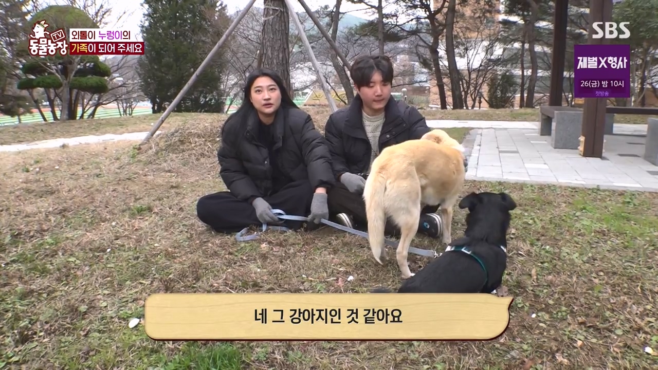 TV 동물농장.E1154.240115p-NEXT.mp4_20240114_184126.821.jpg