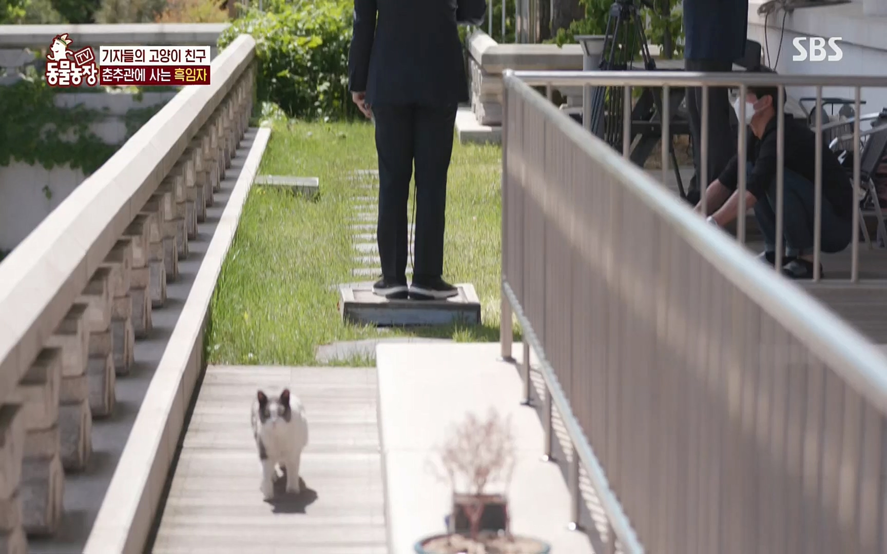TV 동물농장.E1072.220605p.H264-F1RST.mp4_20220605_181436.793.jpg