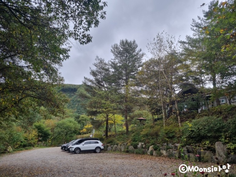 하늘그린캠프, 숲속의 29