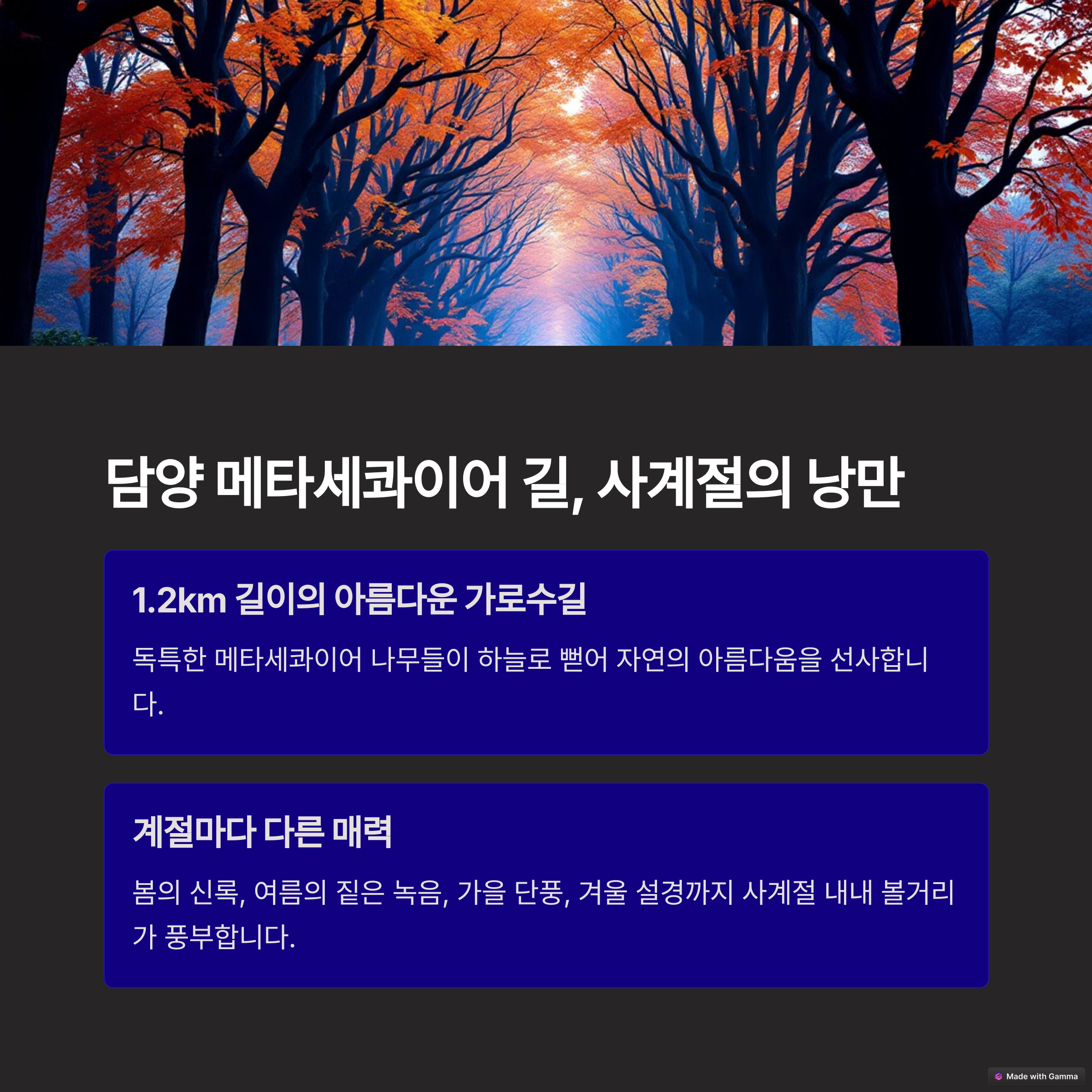 국내 여행지 TOP 10