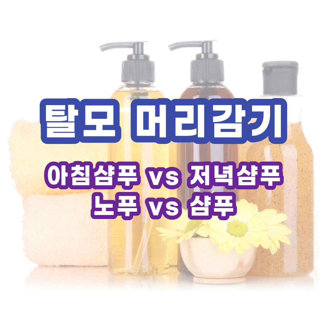 탈모 머리 감기, 아침 샴푸 vs 저녁 샴푸, 노푸 vs 샴푸