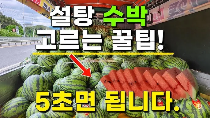 맛있는 수박 고르는법 5가지 feat 좋은 수박 암수 구별법_6