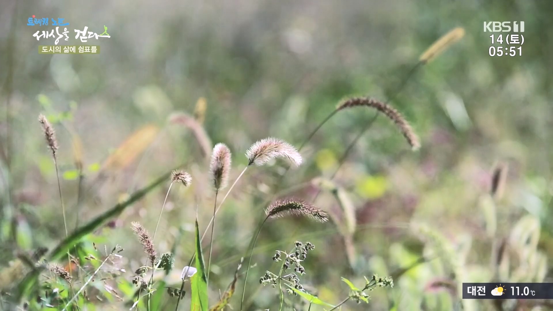 트레킹노트 세상을 걷다.E290.231014p.H264-F1RST.mp4_20231014_181408.489.jpg