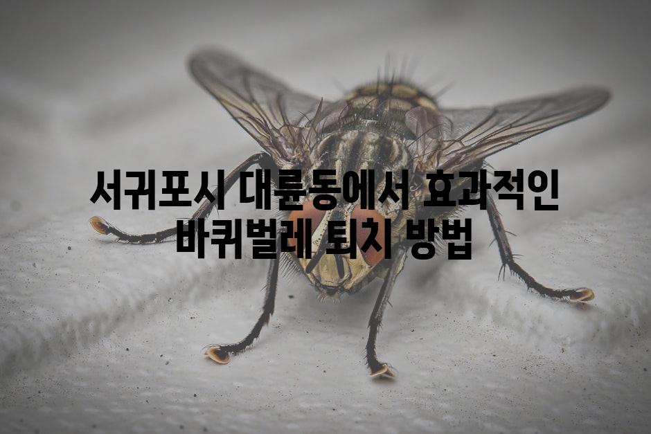 서귀포시 대륜동에서 효과적인 바퀴벌레 퇴치 방법